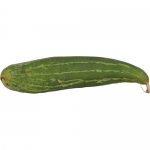 Schwammgurke Luffa